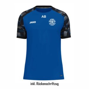 SC Haslau-Maria Ellend 05 - JAKO Trikot