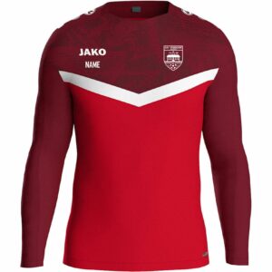 ASV Vösendorf 08 - JAKO Sweater Iconic